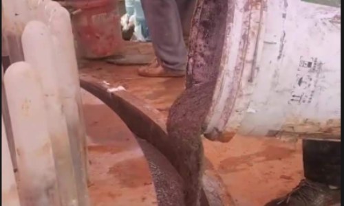 1755163684344959.jpg 1755163530953_副本.jpg